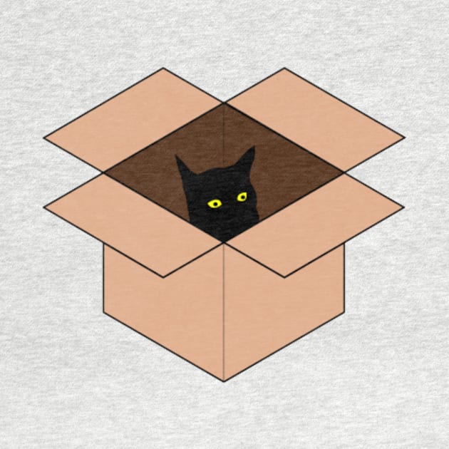 Cat in the Box by Nahlaborne